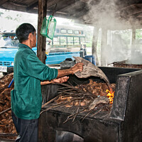 Buy canvas prints of Palm oil production outside Bangkok, Thailand, by Peter Bolton