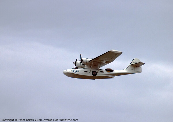 Consolidated  PBY Catalina Flying Boat over Essex, UK. Picture Board by Peter Bolton