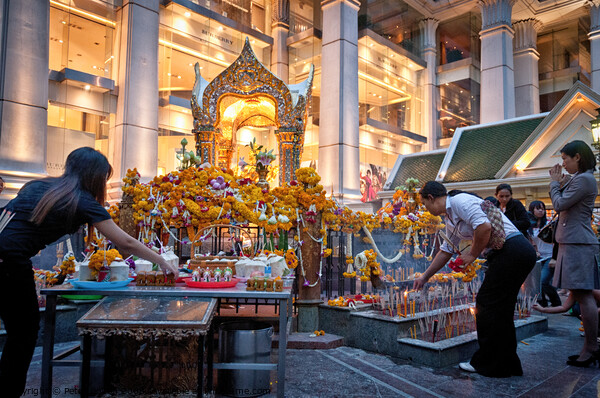 The Erawan Shrine in Bangkok, Thailand. #2 in a series. Picture Board by Peter Bolton