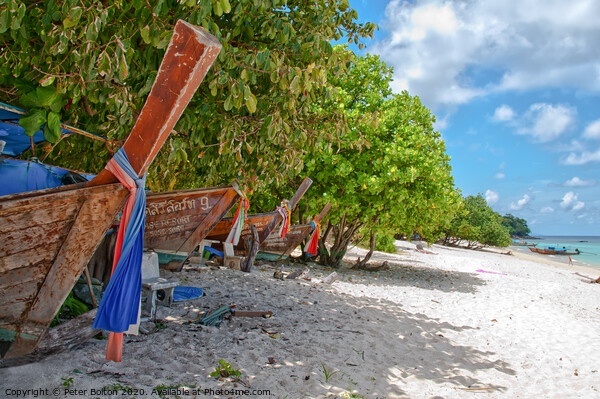  Long-tail boats on the beach at Maya Beach, Phi Phi Islands, Thailand. Picture Board by Peter Bolton