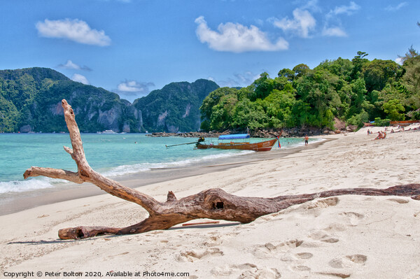 Maya Beach, Phi Phi Island, Thailand Picture Board by Peter Bolton