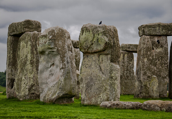 A detail of standing stones at Stonehenge, Wiltshire, UK. Picture Board by Peter Bolton
