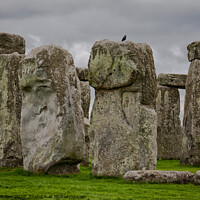 Buy canvas prints of A detail of standing stones at Stonehenge, Wiltshire, UK. by Peter Bolton