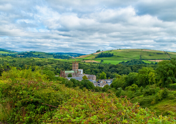 Buckfast Abbey from a nearby hill near Buckfastleigh, Devon,  Picture Board by Peter Bolton