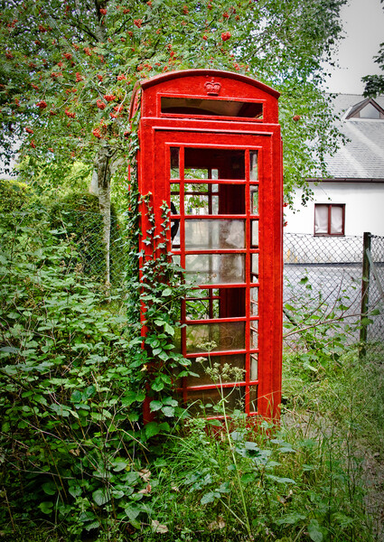 An abandoned red telephone kiosk at Buckfastleigh, Devon, UK. Picture Board by Peter Bolton