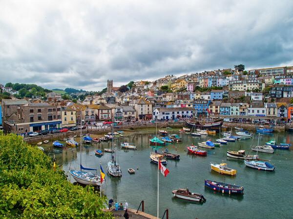 Brixham Harbour, Devon, UK Picture Board by Peter Bolton