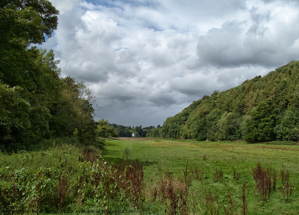 Open pasture and wood hill near Totnes, Devon, UK. Picture Board by Peter Bolton