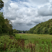 Buy canvas prints of Open pasture and wood hill near Totnes, Devon, UK. by Peter Bolton