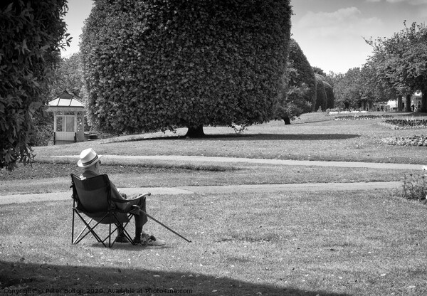 An old man sits and appreciates the view. Embankment Gardens, at Southend on Sea, Essex. Picture Board by Peter Bolton