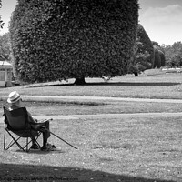Buy canvas prints of An old man sits and appreciates the view. Embankment Gardens, at Southend on Sea, Essex. by Peter Bolton