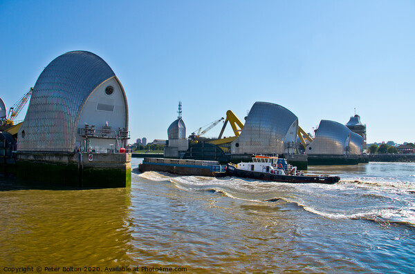 The Thames Barrier, London, UK. Picture Board by Peter Bolton