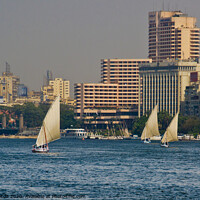 Buy canvas prints of Arab Dhow sailing vessels on the River Nile, Cairo, Egypt. by Peter Bolton