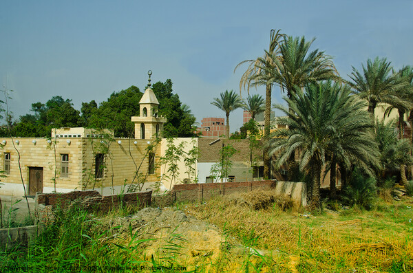 House on the banks of the Nile, Egypt. Picture Board by Peter Bolton