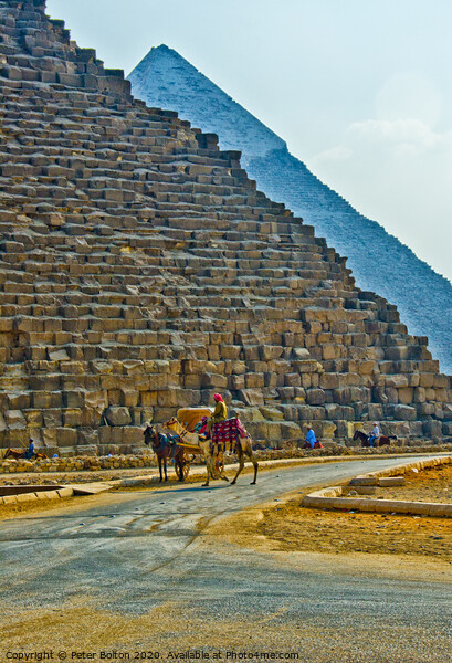 Majestic Pyramids of Giza Picture Board by Peter Bolton