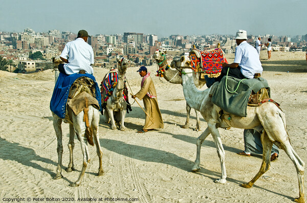 Camel drivers at the Giza plateau, Egypt. Picture Board by Peter Bolton