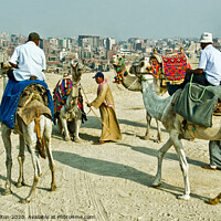 Buy canvas prints of Camel drivers at the Giza plateau, Egypt. by Peter Bolton