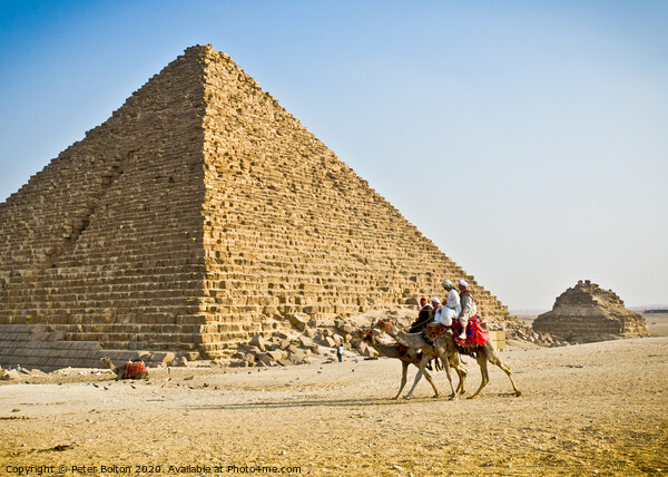 Pyramid of Menkaure with passing camels, Giza, Egypt. Picture Board by Peter Bolton