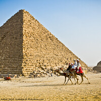 Buy canvas prints of Pyramid of Menkaure with passing camels, Giza, Egypt. by Peter Bolton