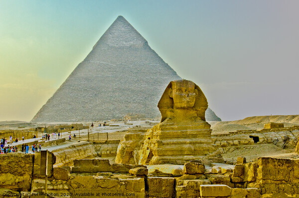 The Sphinx at the pyramid site at Giza, Egypt. Picture Board by Peter Bolton