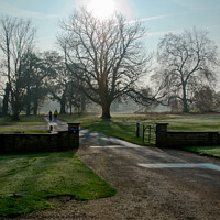 Buy canvas prints of Early morning runners at Hylands Park, Chelmsford, Essex, UK. by Peter Bolton