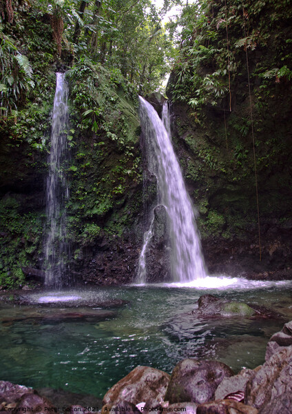 Hibiscus Waterfalls, North Dominica, Caribbean. Picture Board by Peter Bolton