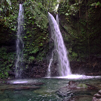 Buy canvas prints of Hibiscus Waterfalls, North Dominica, Caribbean. by Peter Bolton
