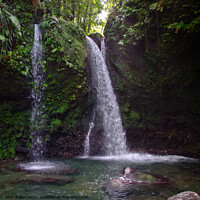 Buy canvas prints of Hibiscus Waterfalls, North Dominica, Caribbean. by Peter Bolton