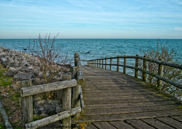 Wooden walkway leading to East Beach at Shoeburyness, Essex, UK. Picture Board by Peter Bolton