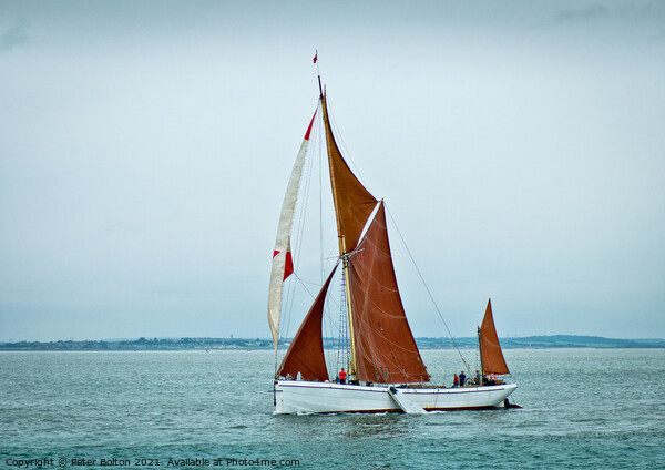 SB Niagara Thames Sailing Barge off Southend on Sea, Thames Estuary Picture Board by Peter Bolton