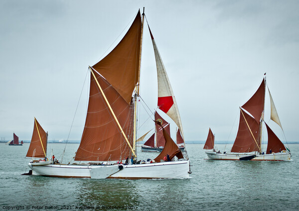 Thames sailing barges racing off Southend on Sea, Thames Estuary, Essex. Picture Board by Peter Bolton