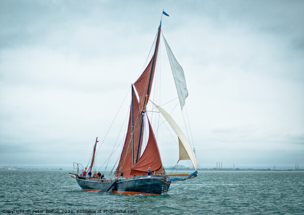 Majestic Sailing Barge Races on the Thames Picture Board by Peter Bolton
