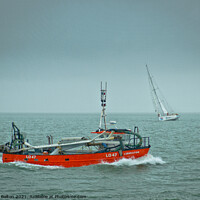 Buy canvas prints of 'Liberator' cockle dredging vessel off Southend on Sea, Essex. by Peter Bolton
