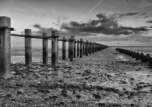The Shoeburyness Boom, River Thames, Essex, UK Picture Board by Peter Bolton