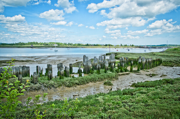 South Fambridge medieval  remains of fishing piers, River Crouch, Essex, UK. Picture Board by Peter Bolton