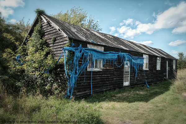Wooden army barack hut from WWII at Bradwell on Sea, Essex, UK. Picture Board by Peter Bolton