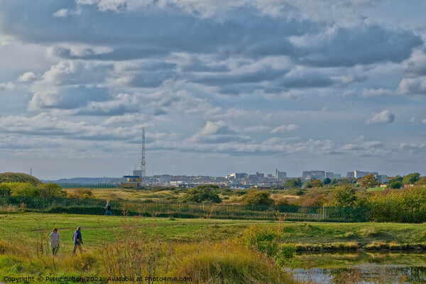 Southend on Sea skyline from Gunners Park Nature Reserve, Shoeburyness, Essex, UK. Picture Board by Peter Bolton