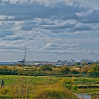 Buy canvas prints of Southend on Sea skyline from Gunners Park Nature Reserve, Shoeburyness, Essex, UK. by Peter Bolton