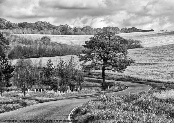 Monochrome landscape. Winding country road at The Hanningfields, Essex, UK Picture Board by Peter Bolton