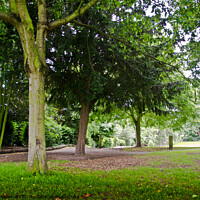 Buy canvas prints of Woodland at Priory Park, Southend on Sea, Essex, UK by Peter Bolton