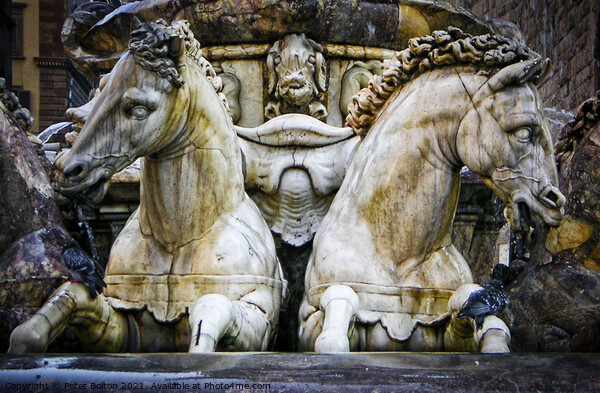 Statues of horses on a fountain in Florence, Italy. Picture Board by Peter Bolton