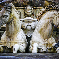 Buy canvas prints of Statues of horses on a fountain in Florence, Italy. by Peter Bolton