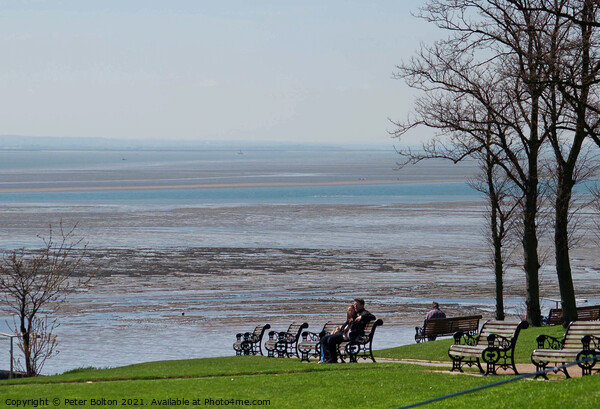 View overlooking the estuary from the cliff gardens, Southend on Sea, Essex, UK. Picture Board by Peter Bolton