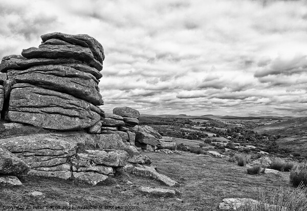 Dartmoor looking towards the south. Devon, UK. Black and white. Picture Board by Peter Bolton