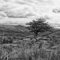 Buy canvas prints of Dartmoor, Devon, in black and white. by Peter Bolton