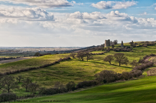 Landscape at Hadleigh in Essex including ruins of Hadleigh Castle Picture Board by Peter Bolton