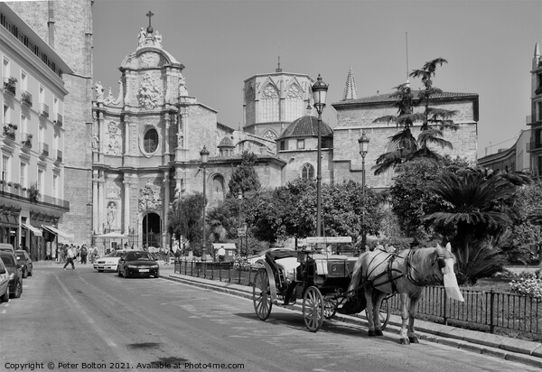 A horse drawn carriage in Malaga, Spain. Black and white. Picture Board by Peter Bolton