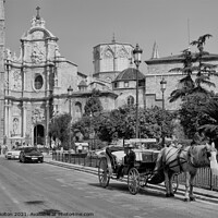 Buy canvas prints of A horse drawn carriage in Malaga, Spain. Black and white. by Peter Bolton