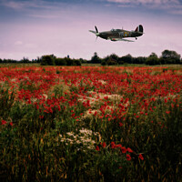 Buy canvas prints of Hawker Hurricane flying low over a field of poppies at dusk. Digital art. by Peter Bolton