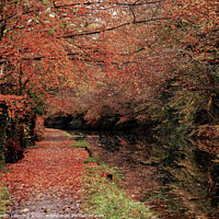 Buy canvas prints of Autumn on Neath Canal by Gareth Lovering