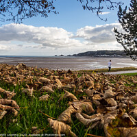 Buy canvas prints of Autumn on Swansea Seafront by Gareth Lovering